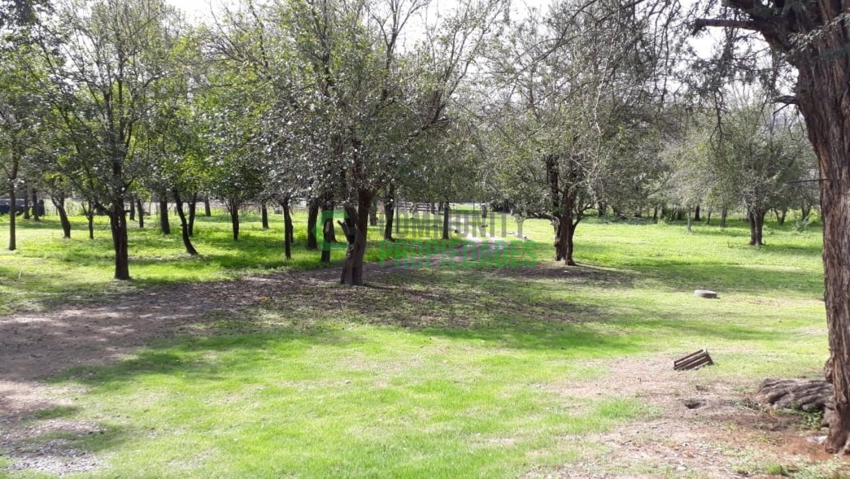 OPORTUNIDAD UNICA: CABAÑA EN 1 HECTAREA DE TERRENO