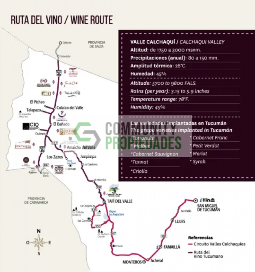 IMPERDIBLE OPORTUNIDAD - FINCA EN LA RUTA DEL VINO - 790 HECTAREAS